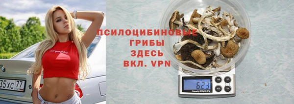 молекула духа Алексин