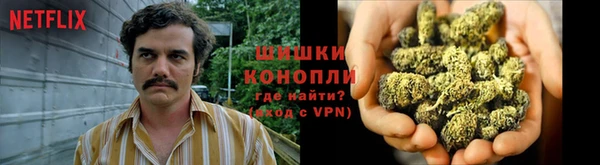 ГАЛЛЮЦИНОГЕННЫЕ ГРИБЫ Протвино