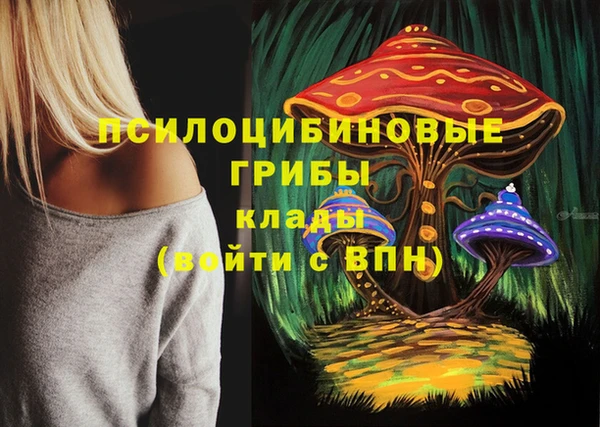 jwh Алзамай