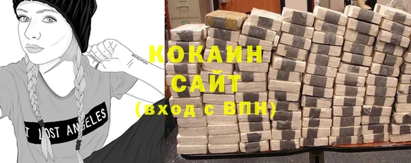 молекула духа Алексин