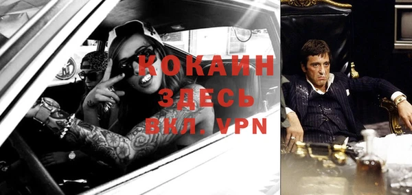 индика Алексеевка