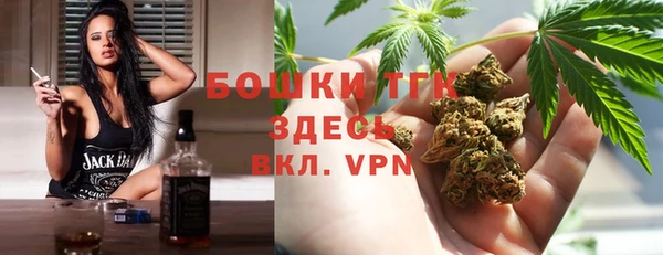 индика Алексеевка