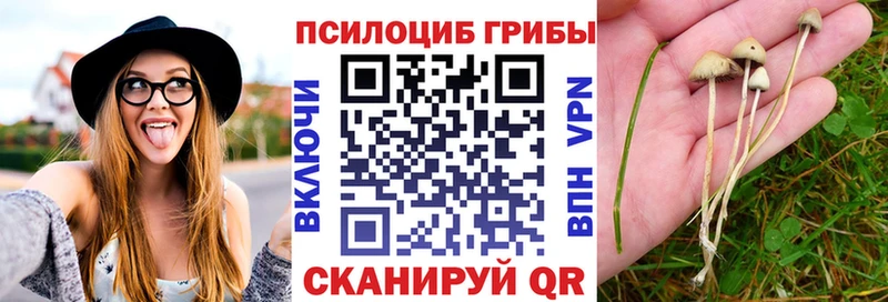 Галлюциногенные грибы Psilocybe  мориарти Telegram  Кумертау 