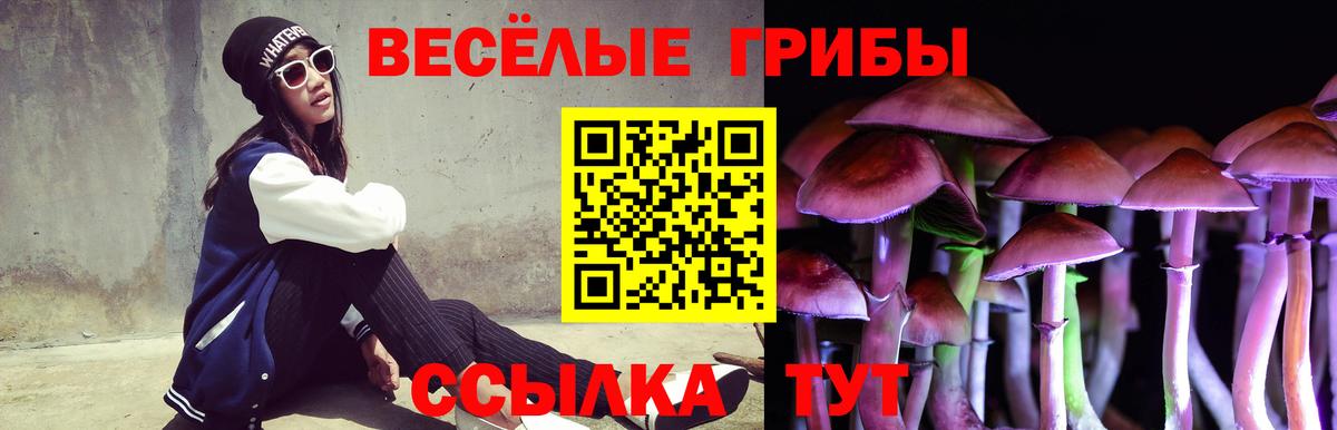 Галлюциногенные грибы мицелий Кумертау